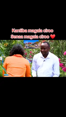 #magalaciroo #creatorsearchinsight #veralvideo #ciroo #carcar @𝖘𝖎𝖋𝖆𝖓 𝖐𝖇🔥 @Firaa @MUE MAX @Hayyuuu43🌳 
