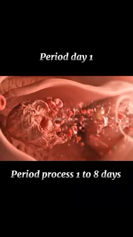 #process#babyinwomb#foryou 