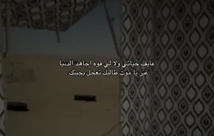 اي والله .                                                                 #الخرج #fyp #الافلاج #اكسبلور؟ 