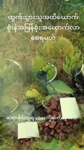 #vioceaffects #အိုမန်ရောက်မြန်မာမလေး🇲🇲❤️🇴🇲 #လာအိုရောက်ရွှေမြန်မာ🇱🇦🇲🇲 #မြန်မာ🇲🇲vsထိုင်း🇨🇷 