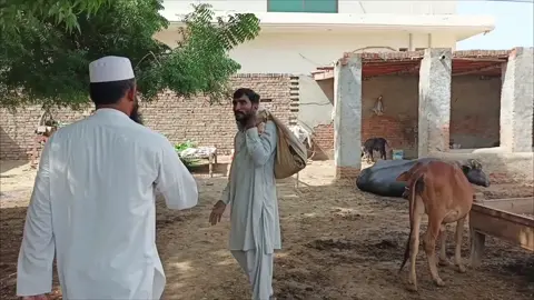 دیہاتی نے تبلیغ والوں کو نکال دیا#molanatareqjmeel #imranbhaiofficial75 @علـــــی حـــیدر گجـــــر 🫀 @꧁༒IsrarGujjar༒꧂💓💥💓💥 