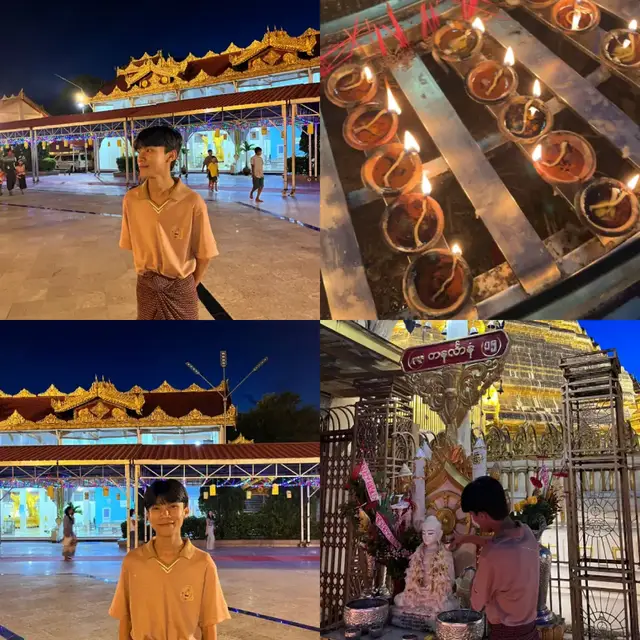 #burmese #john #S #N #night 