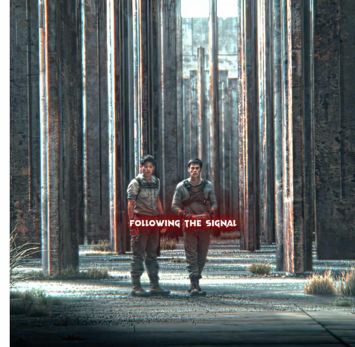 Explaining movies from a first person perspective #film #movie #fyppppppppppppppppppppppp 