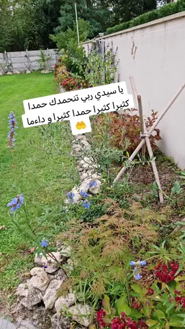 ##المغرب🇲🇦تونس🇹🇳الجزائر🇩🇿 #المغرب🇲🇦تونس🇹🇳الجزائر🇩🇿 #المغرب🇲🇦تونس🇹🇳الجزائر🇩🇿 #المغرب🇲🇦تونس🇹🇳الجزائر🇩🇿 