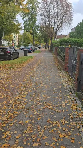 #creatorsearchinsights##ProfessionalGrowth#LevelUpYourLife #BossMindset@tiktok creators @TikTok @tiktoklive_us  #LIVEIncentiveProgram 