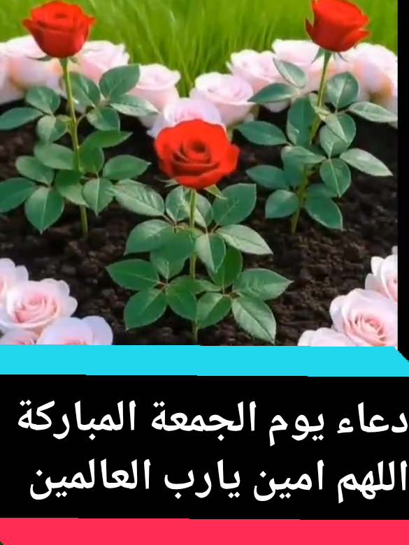 #دعاء #يوم# جمعة مباركة#اللهم امين يارب العالمين 