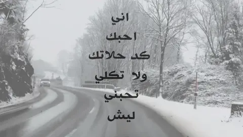 اني احبك كد حلاتك . #شعراء_وذواقين_الشعر_الشعبي🎸 #شعراء_الجنوب #اشعار #تصميمي #مرتضى_مطشر  
