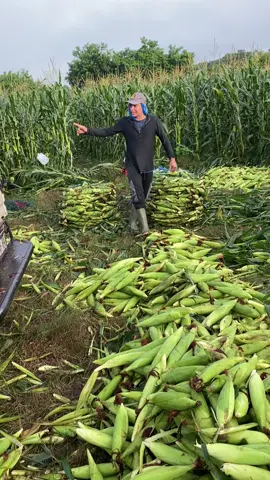 #eloterosdecorazon❤️🌽 #elsalvador🇸🇻 #kiak27004x4 #lacalleprendida🔥 #usulutan_el_salvador🇸🇻 