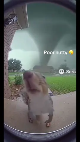 #tornado #sora #ai #funny #fyp 