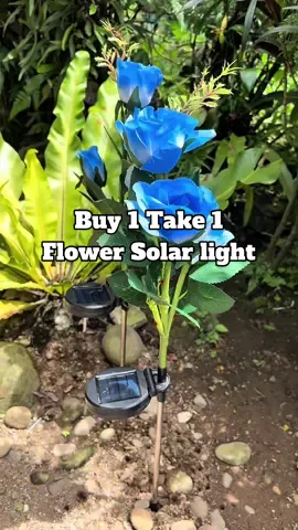 Solar, waterproof at hindi nalalanta kaya pangmatagalang bulaklak na to. #flowersolarlights #solarlight #buy1take1 #solarlightwaterproof 