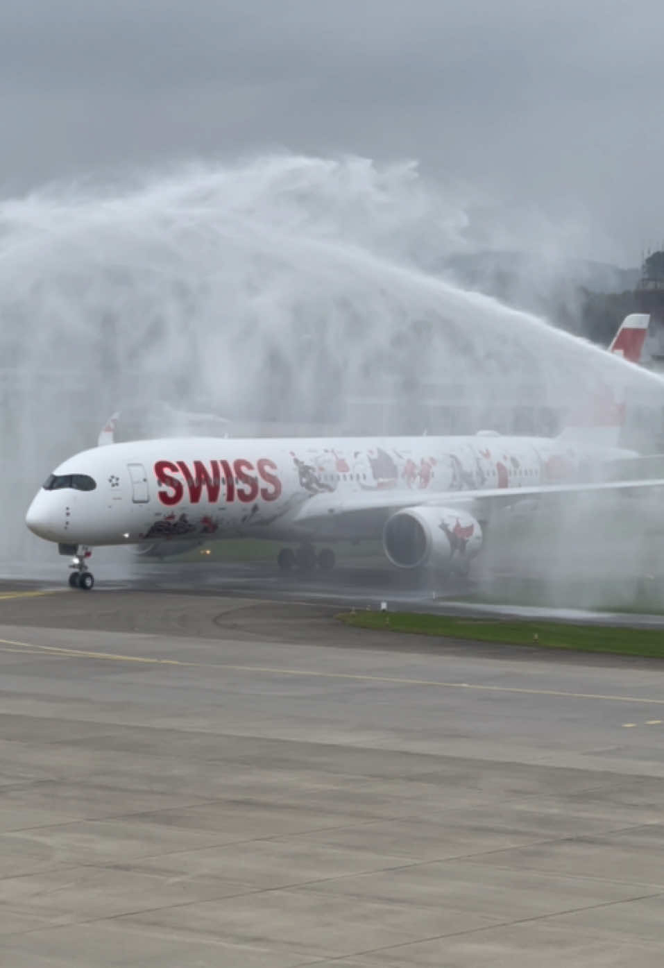 Welcome home HB-IFA (A350) 🇨🇭✈️ #hbifa #a350 #flyswiss #aviation #aviationlovers 