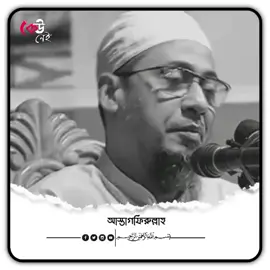 আমার কাছে কিতাব আছে#আনিসুর_রহমান_আশরাফী💖💖 #foryou #foryoupage #trending #tiktok @rafsanrakib678