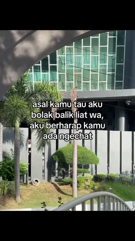 #galaubrutal 