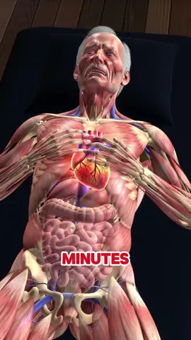 about 15 minutes before a heart attack, your body gives off 5 warning signs that no one can ignore #heartattack #heart #heartdisease #healthtip #usa_tiktok 