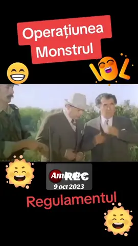 #amintire