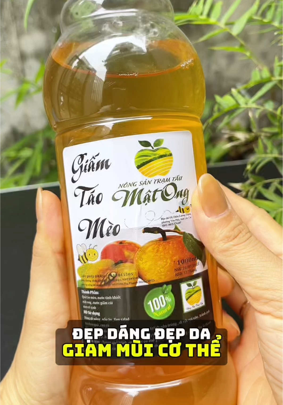 Giấm táo mèo mật ong tốt lắm nè mọi người #leminhhoa #giamtaomeo #giamtaomatong #giamtaomeotramtau #douong 