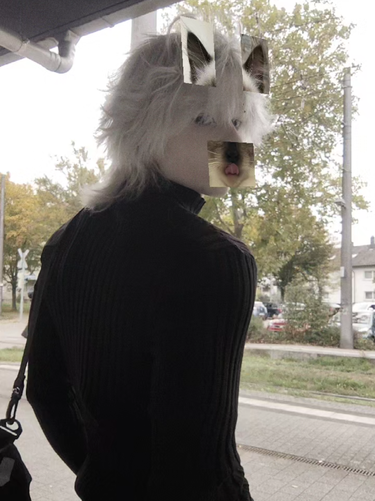 #популярное #тренд #рекомендации #typ #look 