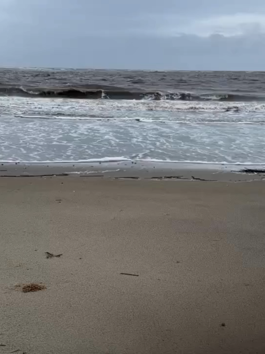 🌊RISING TIDE: Watch the king tide wash away the beach on Sullivan's Island, South Carolina. A coastal flood warning is in effect in Charleston through Friday afternoon, as a weekend nor'easter gets set to move up the East Coast. #beach #kingtide #hightide #southcarolina #sullivansisland
