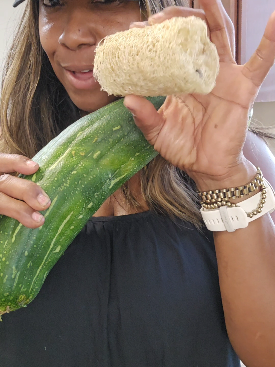 From the garden to your shower 🧽✨ See how loofahs look after they’re peeled and dried! This is just the beginning — I’ll be peeling and drying all week. Stay tuned for Part 2! 🌿 #LoofahSeries #Loofah #LoofahSponge #GardenToBath #SustainableLiving 