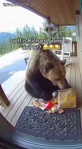 Ring camera captures a grizzly bear eating McDonalds #bear #ringcamera #sora #sora2 #funny 