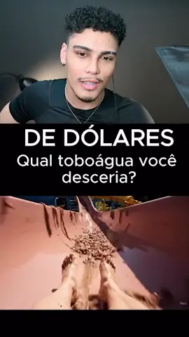 Por 1 milhão de raias, qual toboágua você desceria ?  #rano #ranozera #toboagua #trend #animal 