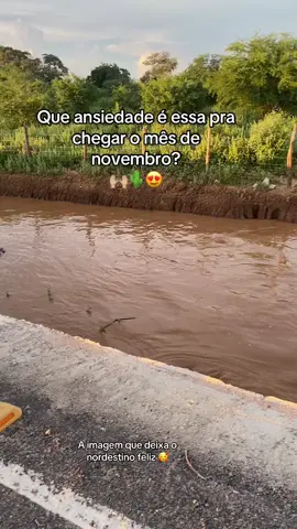 #interiordabahia🇧🇷🌄🏜️ #chuvanordeste🌵 #meulugardepaz🌵❤️ #amomeuimterior🍀 #outubro 