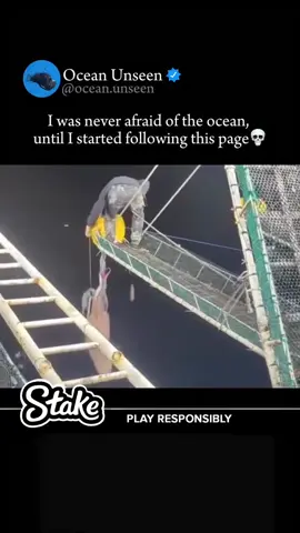 #squid #ocean #viral 