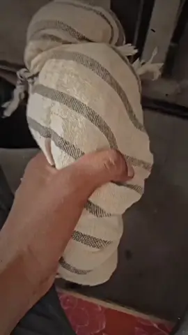 सलाम शहीदा नू 🚩 #bhagatsingh #राम🚩 #lbgroup #goldybrar #australia #america #usa #canada🇨🇦 #ashish_pandit__000 #studentlife #baba #yogi_aditynath #haryana #haryanvi #pakistan #nepalitiktok #lbgroup #lowrancebishnoi #ashish_pandit__000 #bhagatsingh 