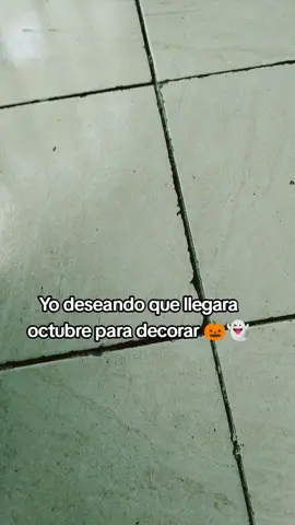 👻👻🎃🎃