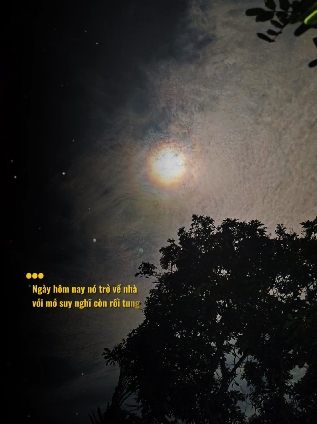 #CapCut #lhd71 #music #fyp 