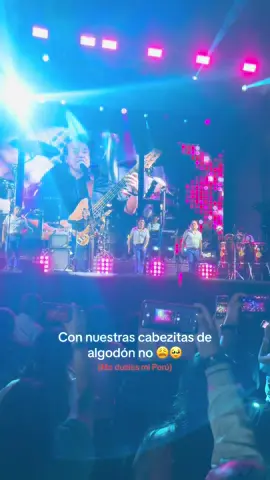 Ni ellos ni nadie más 🥹 y pensar que hace 3 días estábamos de lo más feliz en su concierto #atentado #aguamarina #triste #tristerealidad 