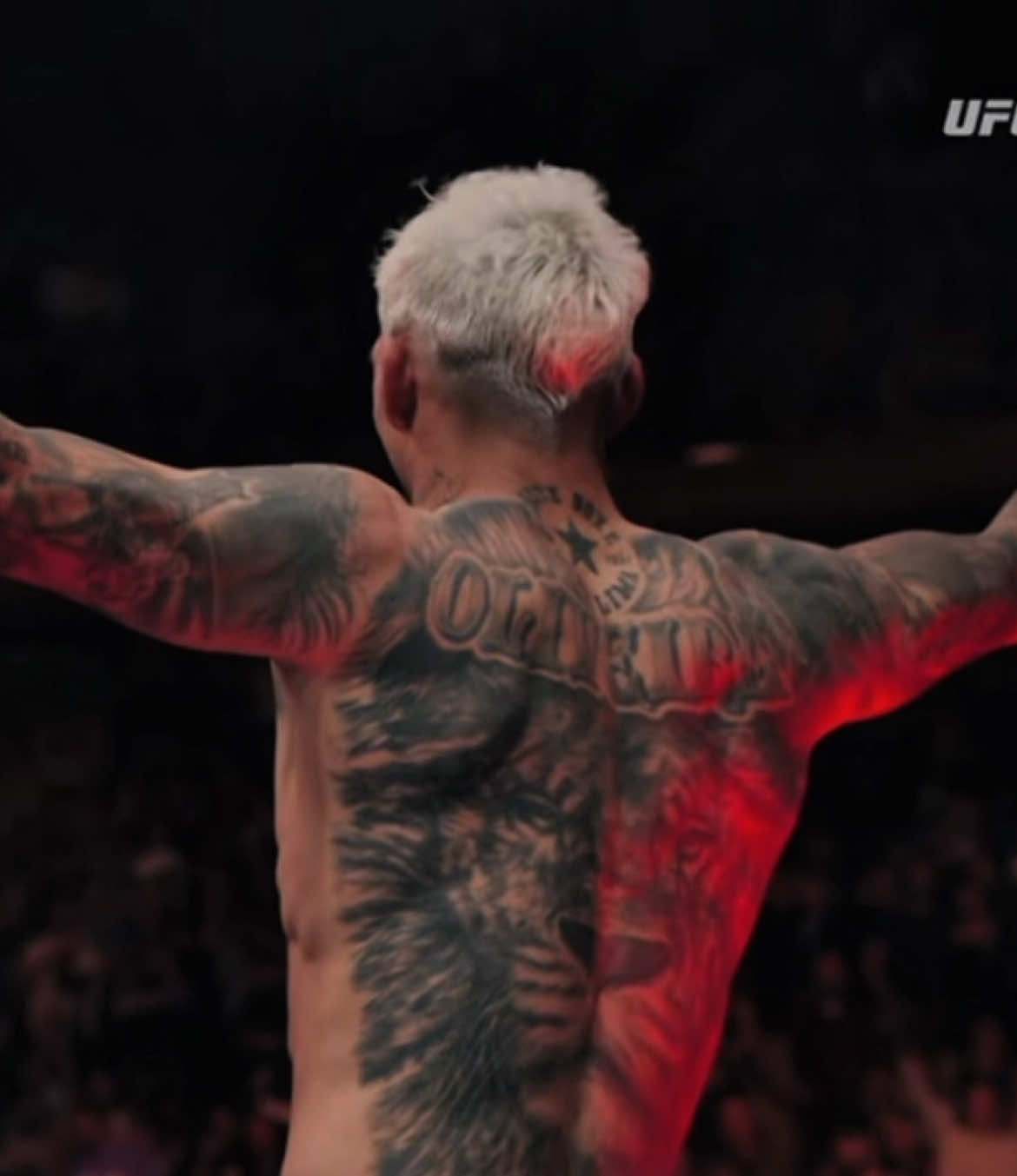 Maça “The Predador” lakabı ile çıkacakmış baba… || #charlesoliveira #UFC 