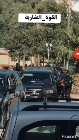 #فرقة_البحث_والتدخل #بياري👮👮 #ابوني #الشرطة_الجزائرية🇩🇿❤👮‍♂️ #fpyシ #fpy #fouryou #fouryoupage #الشعب_الصيني_ماله_حل😂😂 