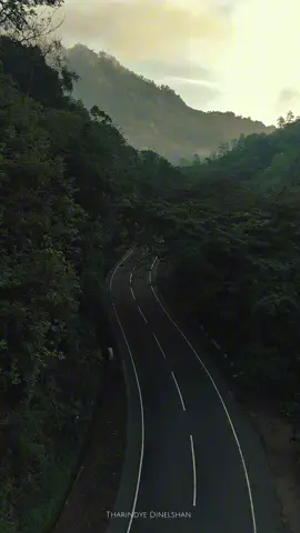 මායාවරුන්ගේ ලෝකයට යන පාර🤍🌳  #nature #foryoupage #srilanka #travel #drone 