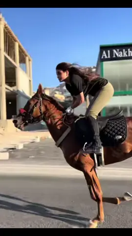 خيل - عربي - اصيل 🐎💪💪❤️#greenscreen #سوريا_تركيا_السعودية_الكويت_عمان 