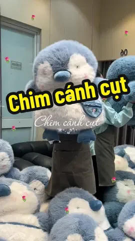 Chim cánh cụt khổng lồ đã có mặt tại Yen Bee #yenbeedaily #chimcanhcut #viraltiktok #tiktokindia 