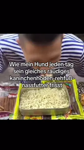 #Lecker #fyp #hundefutter #wieschmecktdas #hund 