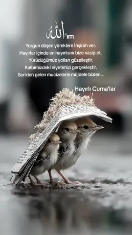 #hayırlıcumalar #hayırlicumalar🌷🌺🌼 #hayirlicumalar🤲🏻🌺 #kesfetle #bunugortiktok 