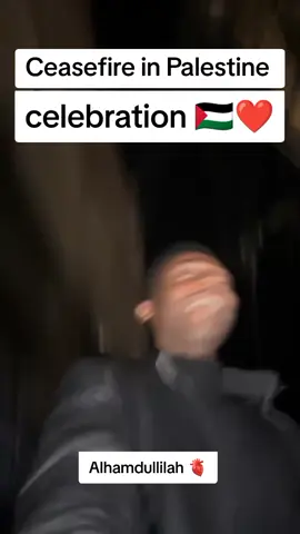 #creatorsearchinsights #ceasefireinpalestine #fyp#viralvideo 
