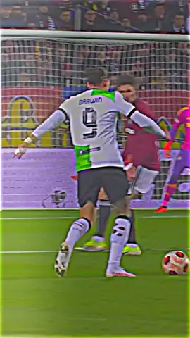 Darwin #view #viewsproblem😭 