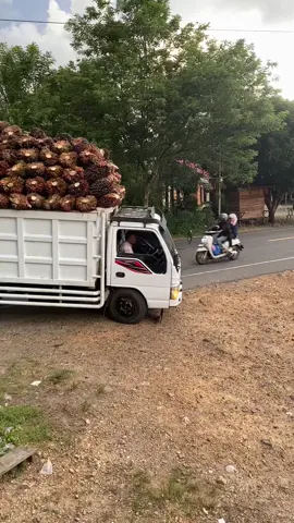 #fyp #truksawit #beranda @NO COMMENT🀄️ @ELGACOR🔥 @Farhan @M.jdnmrz 