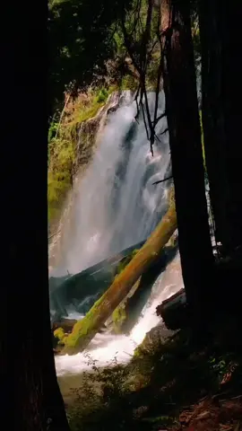 #روائعالقرآنالكريم 