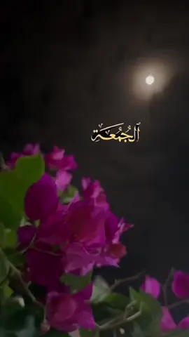 #الليله_ليلة_الجمعة.🤍#صلوا_على_النبي  #اللهم_صل_وسلم_على_نبينا_محمد♡ #يوم_الجمعه #جمعة_مباركة