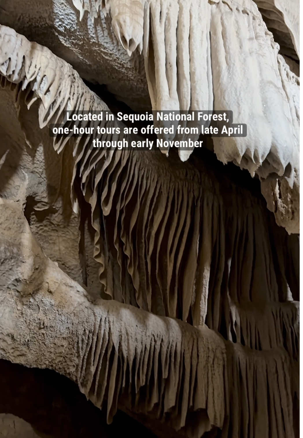 The next time you’re planning a trip to California’s Kings Canyon National Park to see the giant sequoias, be sure to check out another natural wonder, Boyden Cavern. Located between Grant Gove and Cedar Grove along the incredibly scenic Highway 180, the cavern is in Sequoia National Forest. Multiple tours are offered throughout the day when Highway 180 is open, typically late April through early November. Ticket prices range from $8-17 and you can buy them online at boydencavern.com. Great for kids of all ages, the walking tour is about an hour long and requires a short, steep uphill walk to reach the natural entrance. The cavern has been closed for five out of the last ten years, so now’s your chance to see the wonders of this hidden gem. Things to do in Kings Canyon National Park