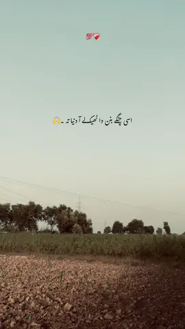 کسے دا ماڑا نئی کرنا ❤️‍🩹🙌 #fyp #foryoupage #punjabi #poetry #unfrezzmyaccount 