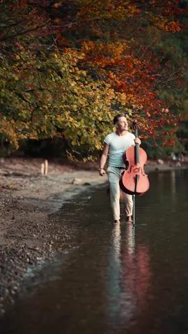 I Have a Dream - ABBA ♥️🎻  #abba #cello #Love #fyp #viral 