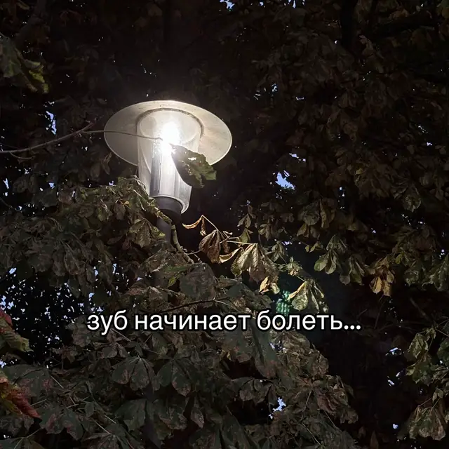 дада , стоматолог нам не нужен 😅#жизажизненная#смешныекартинки#стоматология#болитзуб#мемчик 