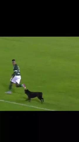 pérolas do futebol brasileiro. 😂🤣😅 #viral #gol #meme #futebol #futebolbrasileiro 