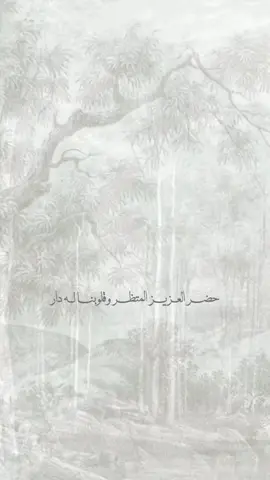 بشارة المولود للعمات بدون اسم #بشارة_مولود_جديد #بشارة_مواليد #مولود 