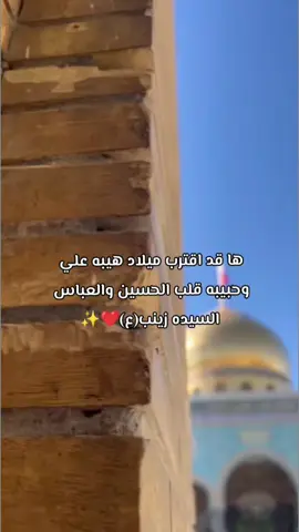 قد اقترب ولاده السيده زينب عليها السلام#مباركين_ياشيعة_علي 